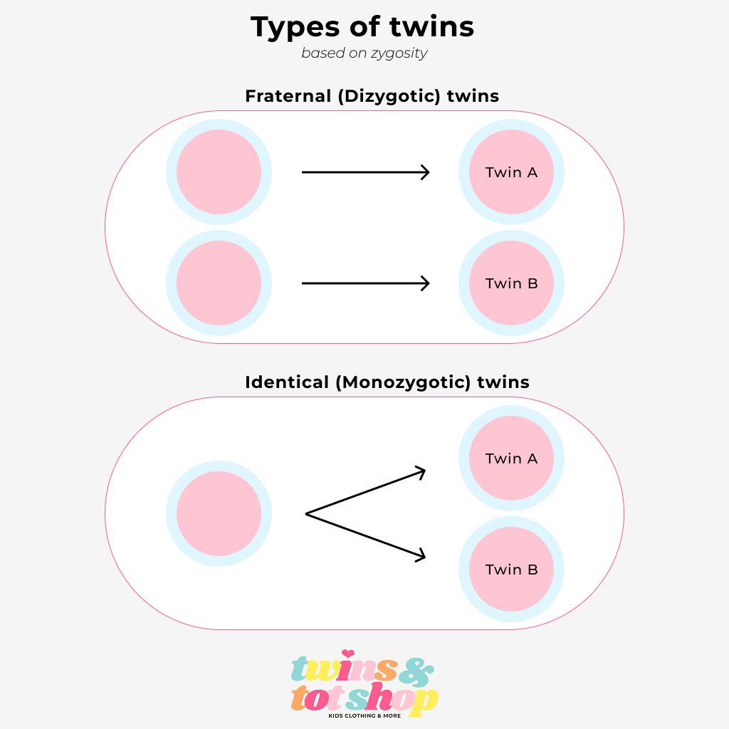 Types of twins based on zygosity: Fraternal twins and Identical twins
