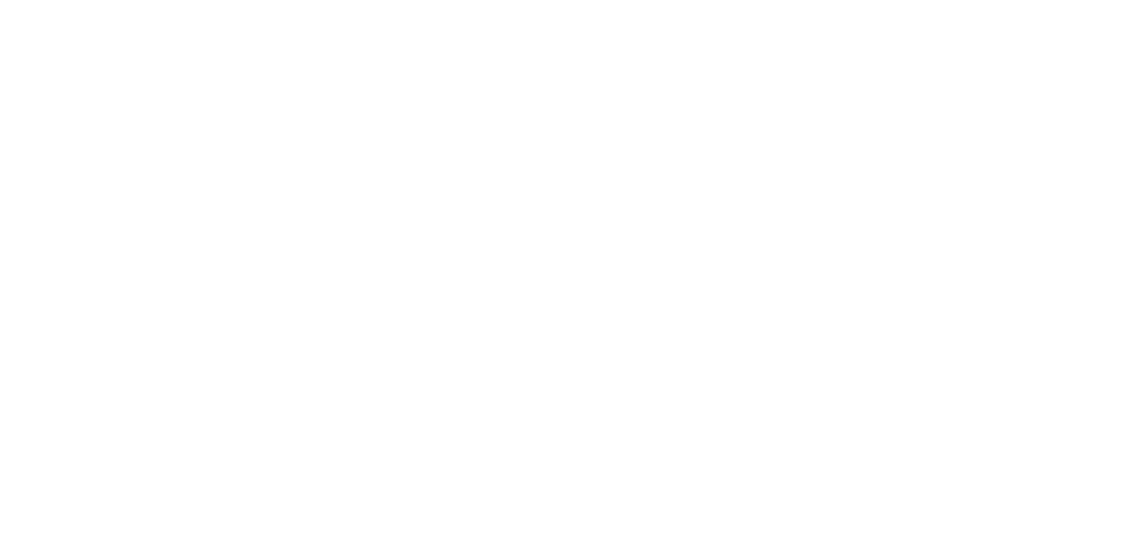 Twins and Tot Shop Logo