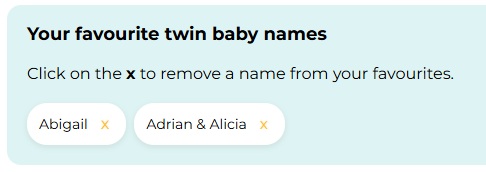 Saved favourite twin names